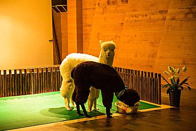 据报道育碧《孤岛惊魂7》将变更为“面向网络”